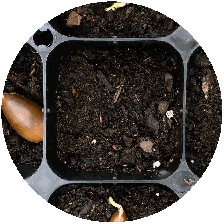 Animated campaign results